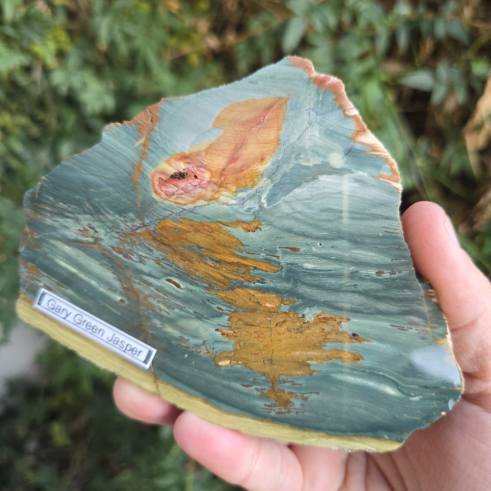 Gary Green Petrified Wood